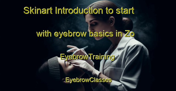 Skinart Introduction to start with eyebrow basics in Zo | EyebrowTraining | EyebrowClasses | SkinartTraining-Nigeria