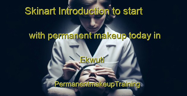 Skinart Introduction to start with permanent makeup today in Ekwuti | #PermanentmakeupTraining #PermanentmakeupClasses #SkinartTraining-Nigeria