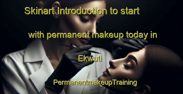 Skinart Introduction to start with permanent makeup today in Ekwuti | #PermanentmakeupTraining #PermanentmakeupClasses #SkinartTraining-Nigeria