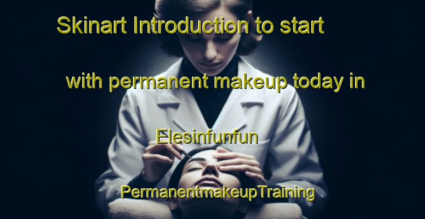 Skinart Introduction to start with permanent makeup today in Elesinfunfun | PermanentmakeupTraining | PermanentmakeupClasses | SkinartTraining-Nigeria