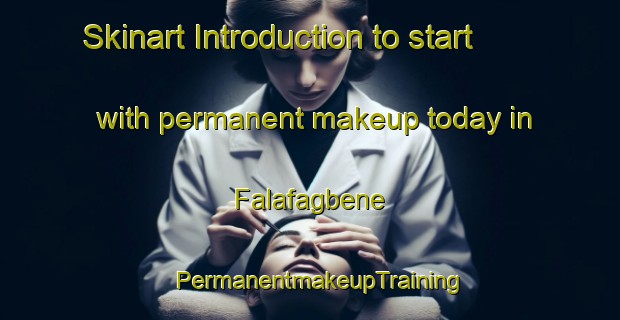 Skinart Introduction to start with permanent makeup today in Falafagbene | PermanentmakeupTraining | PermanentmakeupClasses | SkinartTraining-Nigeria