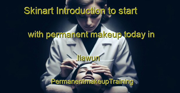Skinart Introduction to start with permanent makeup today in Ilawun | PermanentmakeupTraining | PermanentmakeupClasses | SkinartTraining-Nigeria