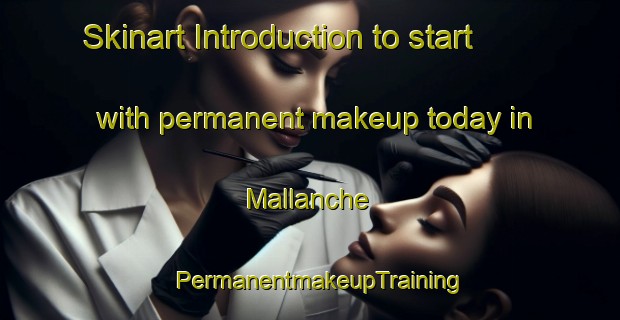 Skinart Introduction to start with permanent makeup today in Mallanche | PermanentmakeupTraining | PermanentmakeupClasses | SkinartTraining-Nigeria