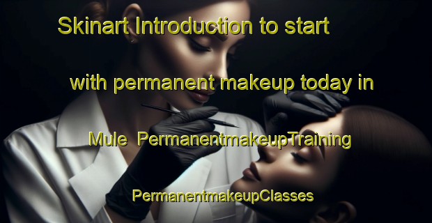 Skinart Introduction to start with permanent makeup today in Mule | PermanentmakeupTraining | PermanentmakeupClasses | SkinartTraining-Nigeria