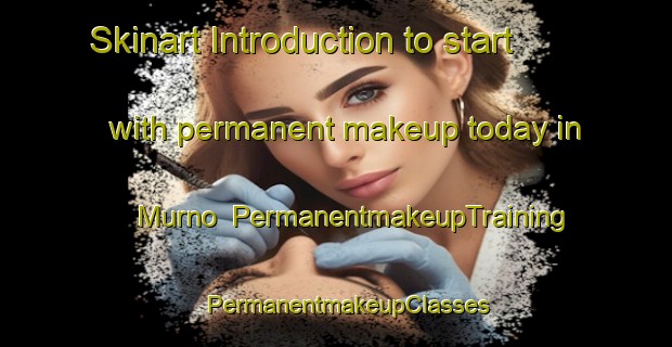 Skinart Introduction to start with permanent makeup today in Murno | PermanentmakeupTraining | PermanentmakeupClasses | SkinartTraining-Nigeria