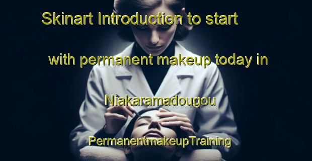 Skinart Introduction to start with permanent makeup today in Niakaramadougou | PermanentmakeupTraining | PermanentmakeupClasses | SkinartTraining-Nigeria