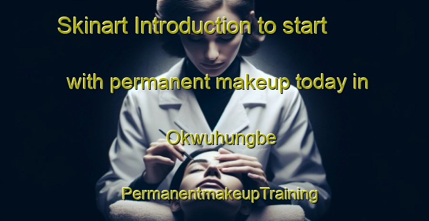 Skinart Introduction to start with permanent makeup today in Okwuhungbe | PermanentmakeupTraining | PermanentmakeupClasses | SkinartTraining-Nigeria
