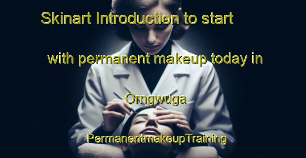 Skinart Introduction to start with permanent makeup today in Orngwuga | PermanentmakeupTraining | PermanentmakeupClasses | SkinartTraining-Nigeria