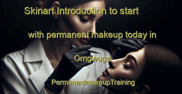 Skinart Introduction to start with permanent makeup today in Orngwuga | PermanentmakeupTraining | PermanentmakeupClasses | SkinartTraining-Nigeria