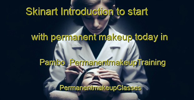 Skinart Introduction to start with permanent makeup today in Pambo | PermanentmakeupTraining | PermanentmakeupClasses | SkinartTraining-Nigeria