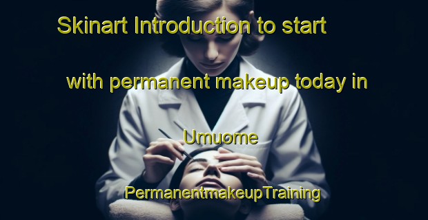 Skinart Introduction to start with permanent makeup today in Umuome | #PermanentmakeupTraining #PermanentmakeupClasses #SkinartTraining-Nigeria