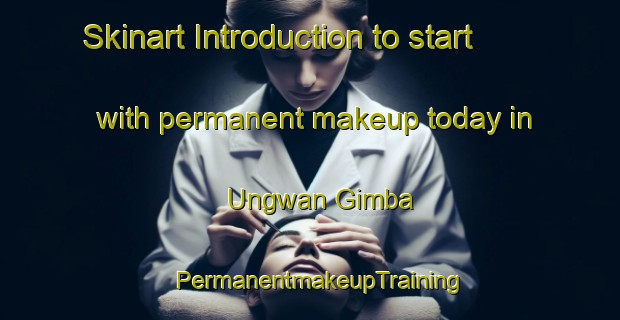 Skinart Introduction to start with permanent makeup today in Ungwan Gimba | PermanentmakeupTraining | PermanentmakeupClasses | SkinartTraining-Nigeria
