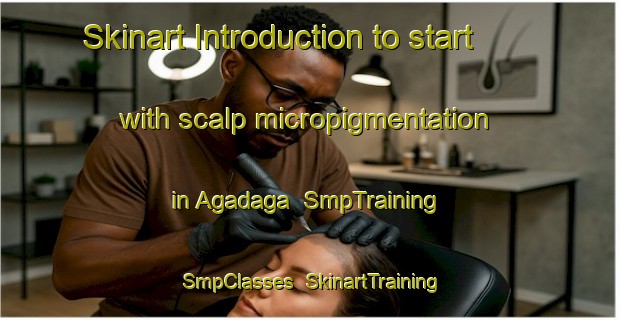 Skinart Introduction to start with scalp micropigmentation in Agadaga | SmpTraining | SmpClasses | SkinartTraining-Nigeria