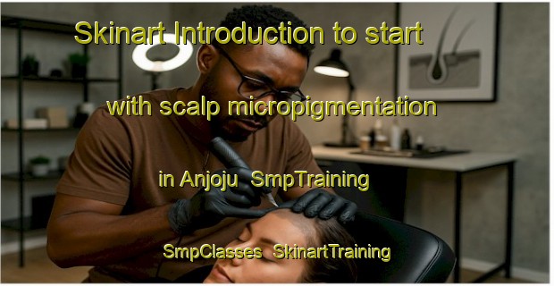 Skinart Introduction to start with scalp micropigmentation in Anjoju | SmpTraining | SmpClasses | SkinartTraining-Nigeria