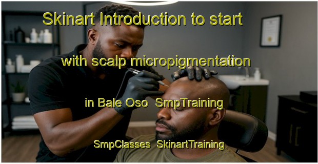 Skinart Introduction to start with scalp micropigmentation in Bale Oso | SmpTraining | SmpClasses | SkinartTraining-Nigeria