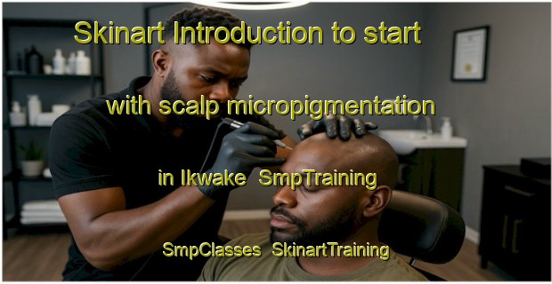 Skinart Introduction to start with scalp micropigmentation in Ikwake | SmpTraining | SmpClasses | SkinartTraining-Nigeria
