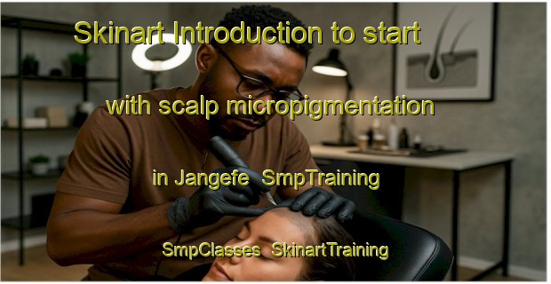 Skinart Introduction to start with scalp micropigmentation in Jangefe | SmpTraining | SmpClasses | SkinartTraining-Nigeria