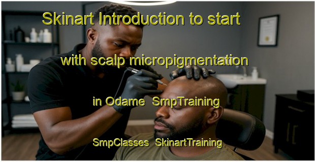 Skinart Introduction to start with scalp micropigmentation in Odame | SmpTraining | SmpClasses | SkinartTraining-Nigeria