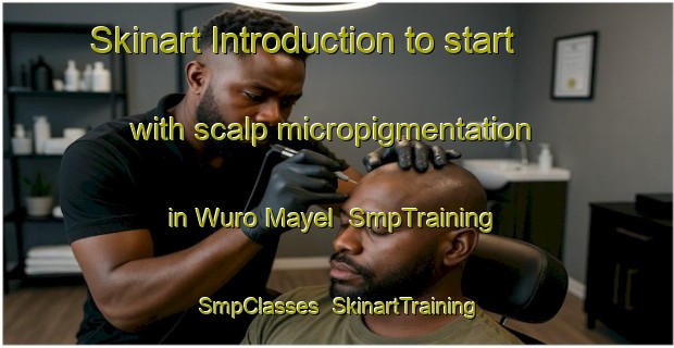 Skinart Introduction to start with scalp micropigmentation in Wuro Mayel | SmpTraining | SmpClasses | SkinartTraining-Nigeria
