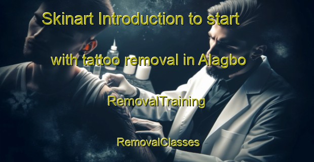 Skinart Introduction to start with tattoo removal in Alagbo | RemovalTraining | RemovalClasses | SkinartTraining-Nigeria
