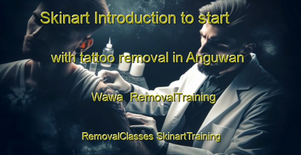 Skinart Introduction to start with tattoo removal in Anguwan Wawa | #RemovalTraining #RemovalClasses #SkinartTraining-Nigeria