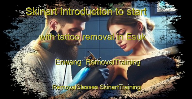 Skinart Introduction to start with tattoo removal in Esuk Enwang | #RemovalTraining #RemovalClasses #SkinartTraining-Nigeria