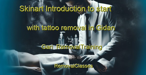 Skinart Introduction to start with tattoo removal in Gidan Gari | RemovalTraining | RemovalClasses | SkinartTraining-Nigeria