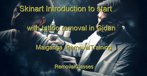 Skinart Introduction to start with tattoo removal in Gidan Maiganga | RemovalTraining | RemovalClasses | SkinartTraining-Nigeria