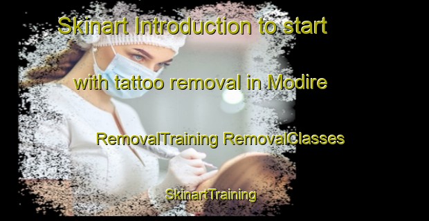 Skinart Introduction to start with tattoo removal in Modire | #RemovalTraining #RemovalClasses #SkinartTraining-Nigeria