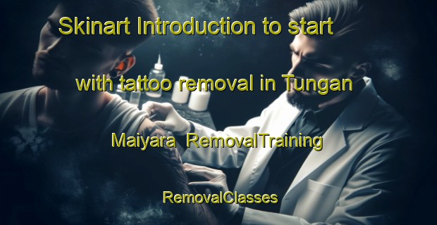Skinart Introduction to start with tattoo removal in Tungan Maiyara | RemovalTraining | RemovalClasses | SkinartTraining-Nigeria