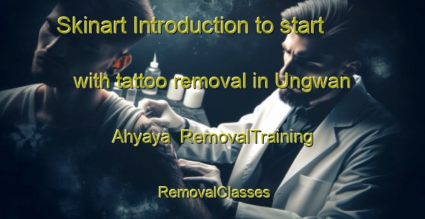 Skinart Introduction to start with tattoo removal in Ungwan Ahyaya | RemovalTraining | RemovalClasses | SkinartTraining-Nigeria