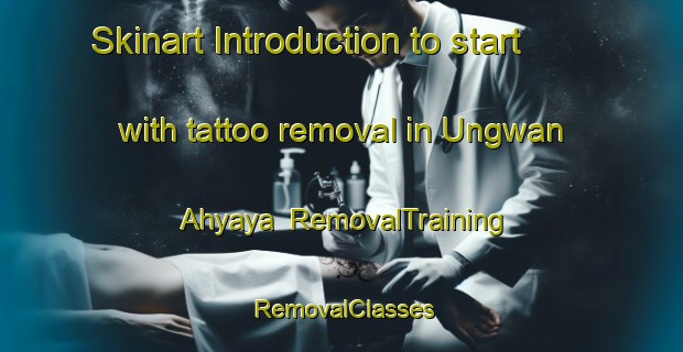 Skinart Introduction to start with tattoo removal in Ungwan Ahyaya | RemovalTraining | RemovalClasses | SkinartTraining-Nigeria