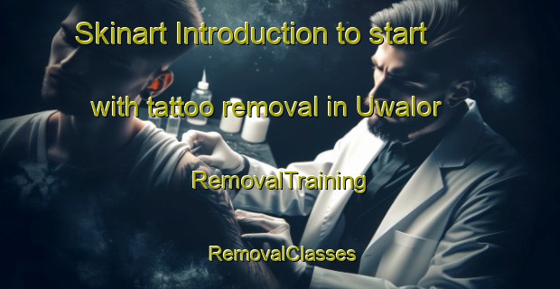 Skinart Introduction to start with tattoo removal in Uwalor | RemovalTraining | RemovalClasses | SkinartTraining-Nigeria