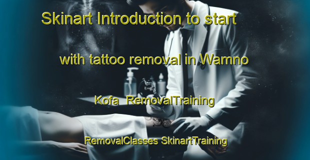 Skinart Introduction to start with tattoo removal in Wamno Kofa | #RemovalTraining #RemovalClasses #SkinartTraining-Nigeria