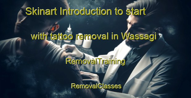 Skinart Introduction to start with tattoo removal in Wassagi | RemovalTraining | RemovalClasses | SkinartTraining-Nigeria