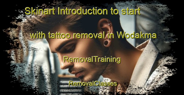 Skinart Introduction to start with tattoo removal in Wodakma | RemovalTraining | RemovalClasses | SkinartTraining-Nigeria