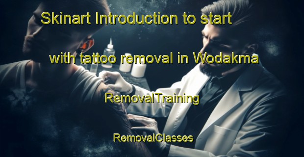 Skinart Introduction to start with tattoo removal in Wodakma | RemovalTraining | RemovalClasses | SkinartTraining-Nigeria