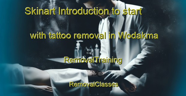 Skinart Introduction to start with tattoo removal in Wodakma | RemovalTraining | RemovalClasses | SkinartTraining-Nigeria
