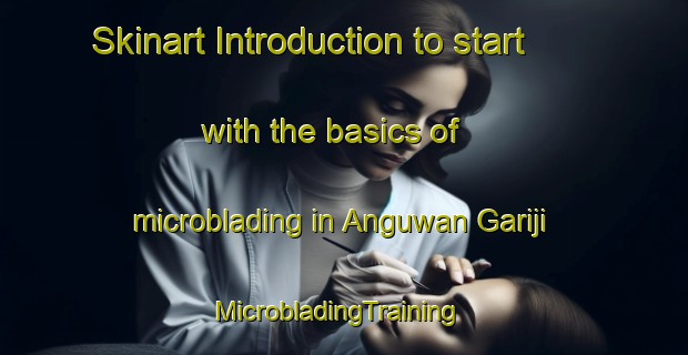 Skinart Introduction to start with the basics of microblading in Anguwan Gariji | MicrobladingTraining | MicrobladingClasses | SkinartTraining-Nigeria