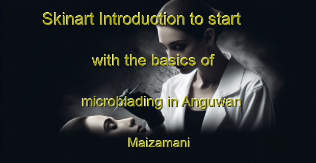 Skinart Introduction to start with the basics of microblading in Anguwan Maizamani | MicrobladingTraining | MicrobladingClasses | SkinartTraining-Nigeria