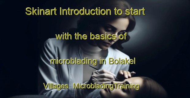 Skinart Introduction to start with the basics of microblading in Bolakel Villages | MicrobladingTraining | MicrobladingClasses | SkinartTraining-Nigeria