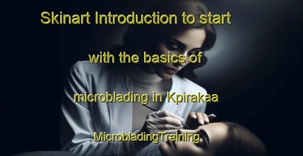 Skinart Introduction to start with the basics of microblading in Kpirakaa | MicrobladingTraining | MicrobladingClasses | SkinartTraining-Nigeria