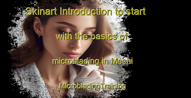 Skinart Introduction to start with the basics of microblading in Meshi | MicrobladingTraining | MicrobladingClasses | SkinartTraining-Nigeria