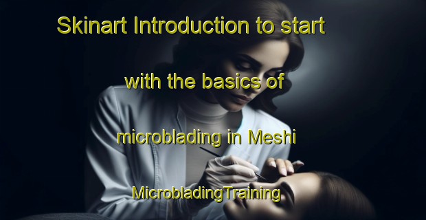 Skinart Introduction to start with the basics of microblading in Meshi | MicrobladingTraining | MicrobladingClasses | SkinartTraining-Nigeria