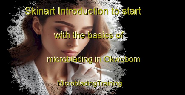 Skinart Introduction to start with the basics of microblading in Okwobom | MicrobladingTraining | MicrobladingClasses | SkinartTraining-Nigeria