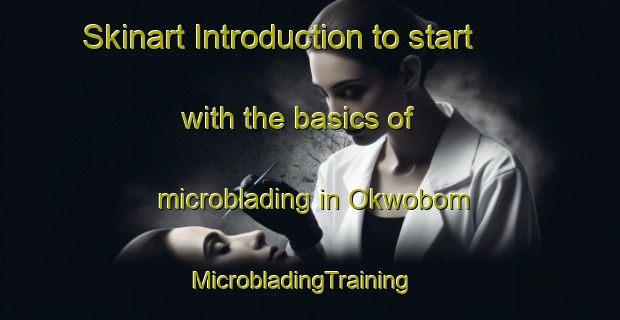 Skinart Introduction to start with the basics of microblading in Okwobom | MicrobladingTraining | MicrobladingClasses | SkinartTraining-Nigeria