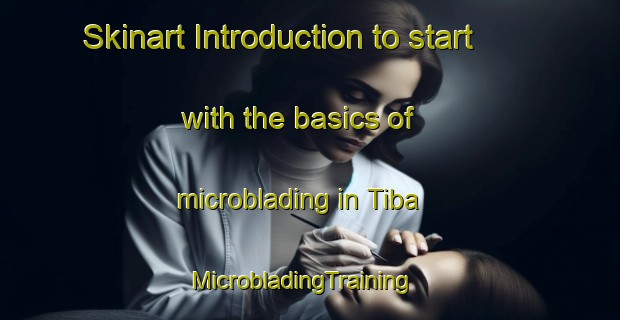 Skinart Introduction to start with the basics of microblading in Tiba | MicrobladingTraining | MicrobladingClasses | SkinartTraining-Nigeria
