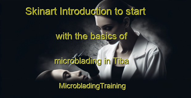 Skinart Introduction to start with the basics of microblading in Tiba | MicrobladingTraining | MicrobladingClasses | SkinartTraining-Nigeria