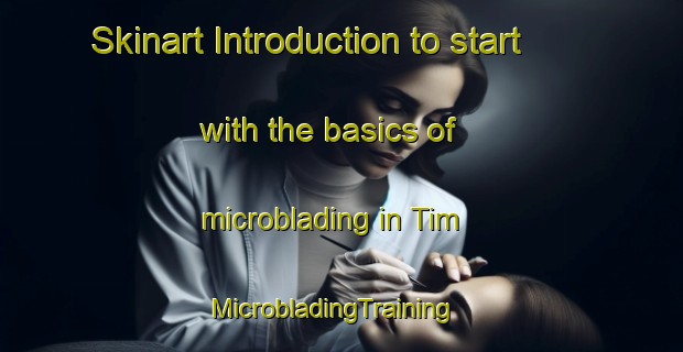 Skinart Introduction to start with the basics of microblading in Tim | MicrobladingTraining | MicrobladingClasses | SkinartTraining-Nigeria