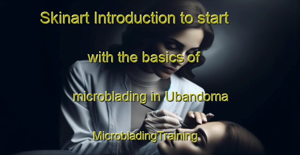 Skinart Introduction to start with the basics of microblading in Ubandoma | MicrobladingTraining | MicrobladingClasses | SkinartTraining-Nigeria